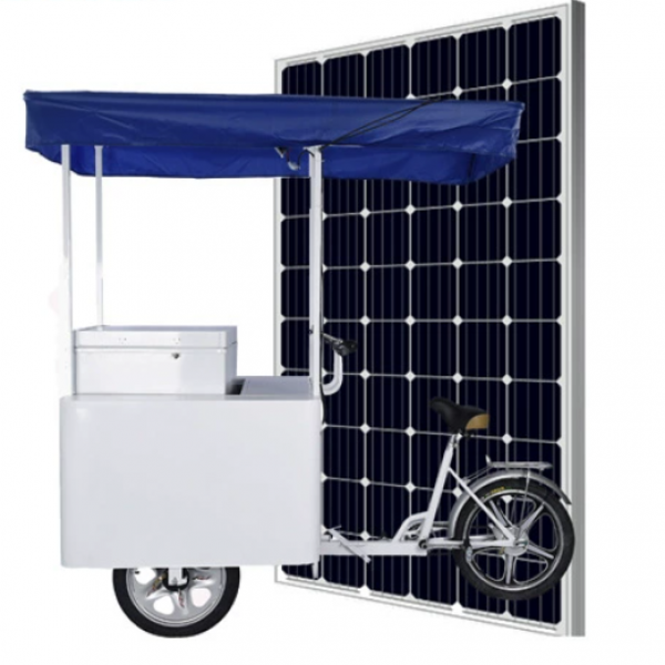 Ice Cream Tricycle Cargo